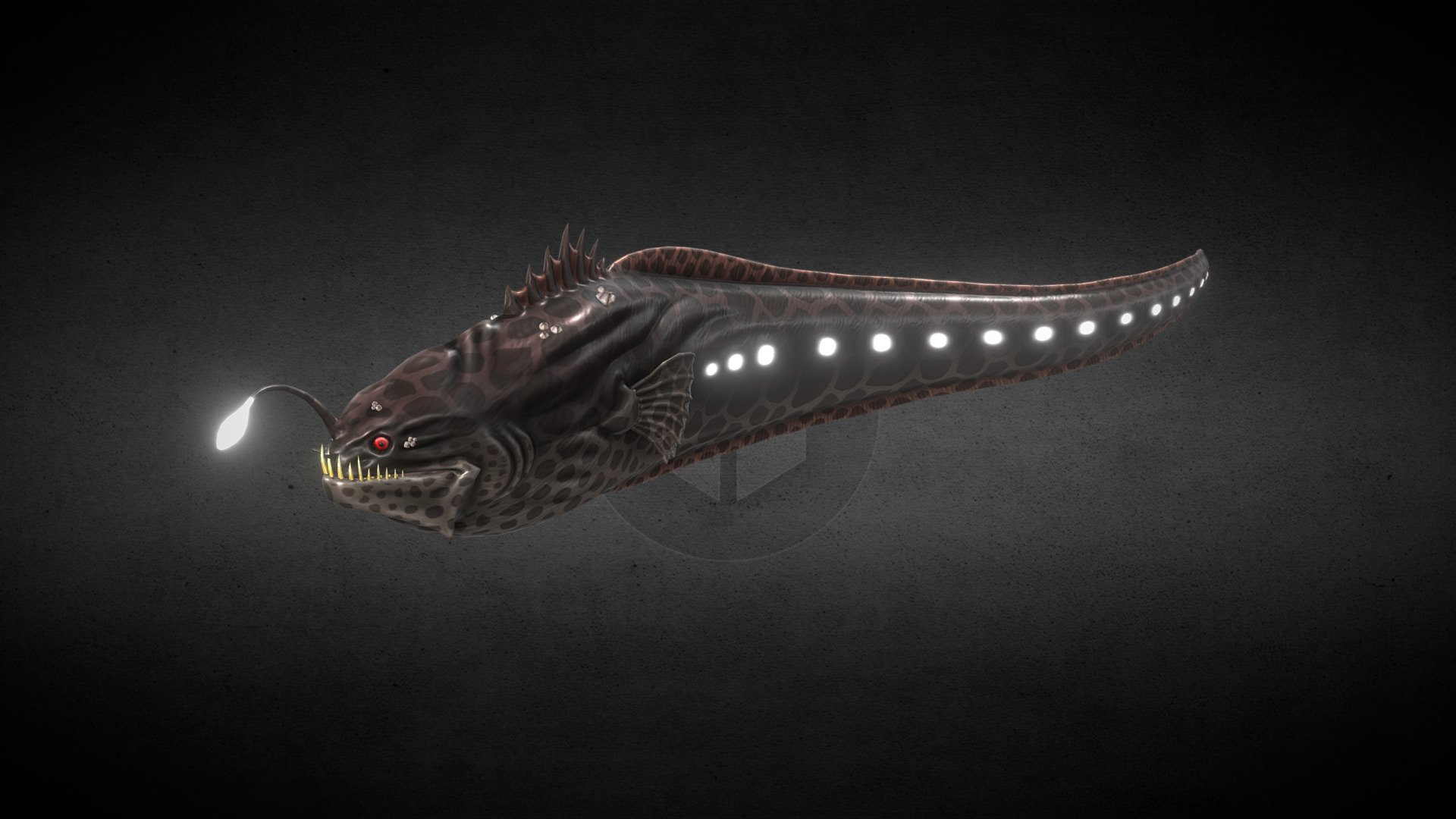 depsite the fact this creature may be mistaken with a sea serpent, it is a fish. created by combining parts of black devil anglerfish and moray eel 3d model
