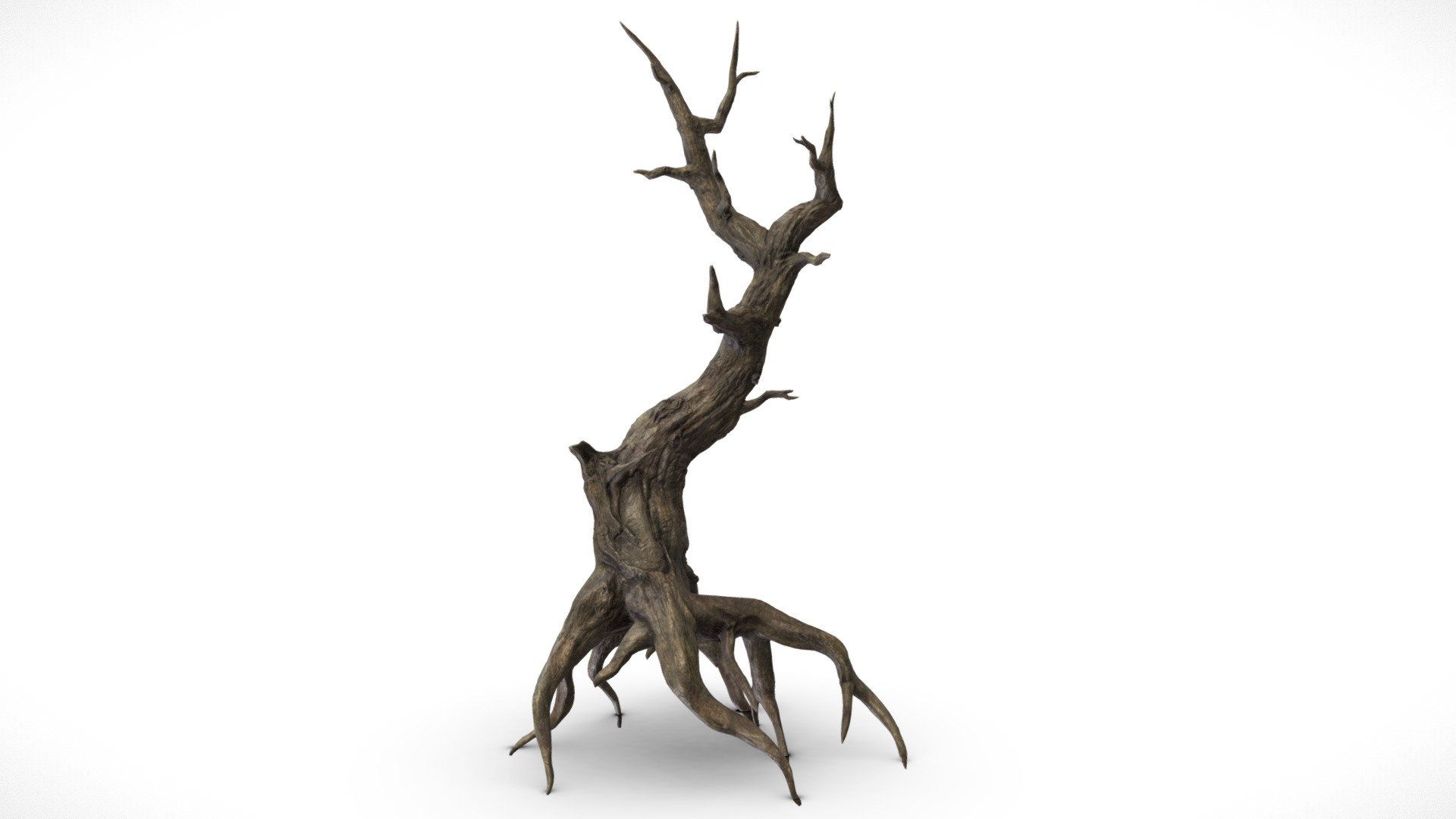 This Tree Mesh is made up of 1 UV Map, with 4096x4096 resolution.
Textures contained are:
- Diffuse
- Metallic
- Normal
- Roughness - Fantasy Dark Forest - Scary Dead Tree B - Buy Royalty Free 3D model by Davis3D 3d model