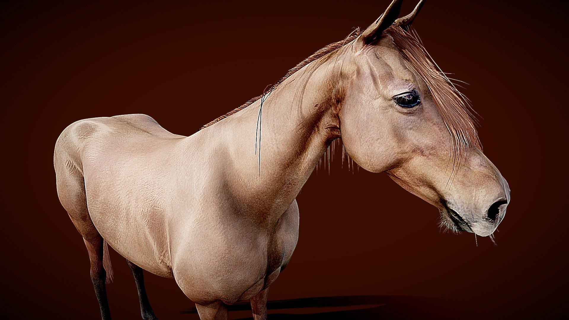 Horse - Buy Royalty Free 3D model by madtiny 3d model