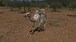 Camel muslim, camel, animal, animated