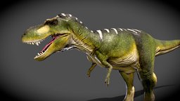 Albertosaurus (For animation) t-rex, world, big, predator, rex, park, giant, jurassic, cretaceous, carnivore, das, theropod, albert, tyrannosaurus, mesozoic, gorgo, tyra, creature, monster, prehistoric, dinosaur