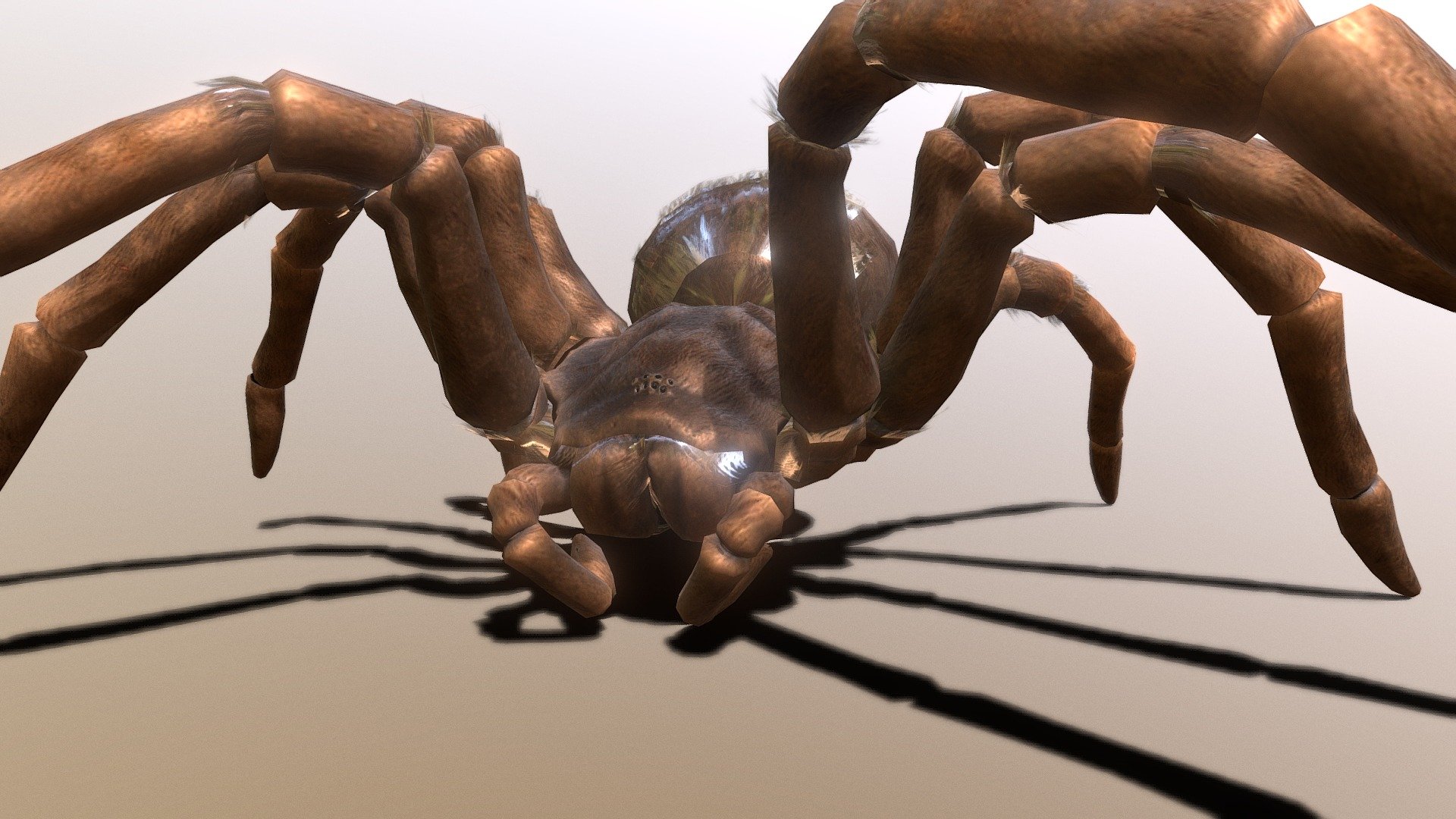 The most biggest tarantula on earth so this spider is eats small birds and large mice so they can be good pets because they just like to crawl on your hand but their venom is mild so you don't have to worry about their venom they won't kill a single person.

Different species of spiders

Red Knee Tarantula: https://sketchfab.com/3d-models/mexican-red-knee-tarantula-1d28067d95b44e63a494f52cb9d0ea68

Black Widow: https://sketchfab.com/3d-models/black-widow-spider-4d67969a3243460ab2a536a60e4c4de5 - Goliath Birdeater Tarantula - 3D model by Aiden Vang (@vang807) 3d model