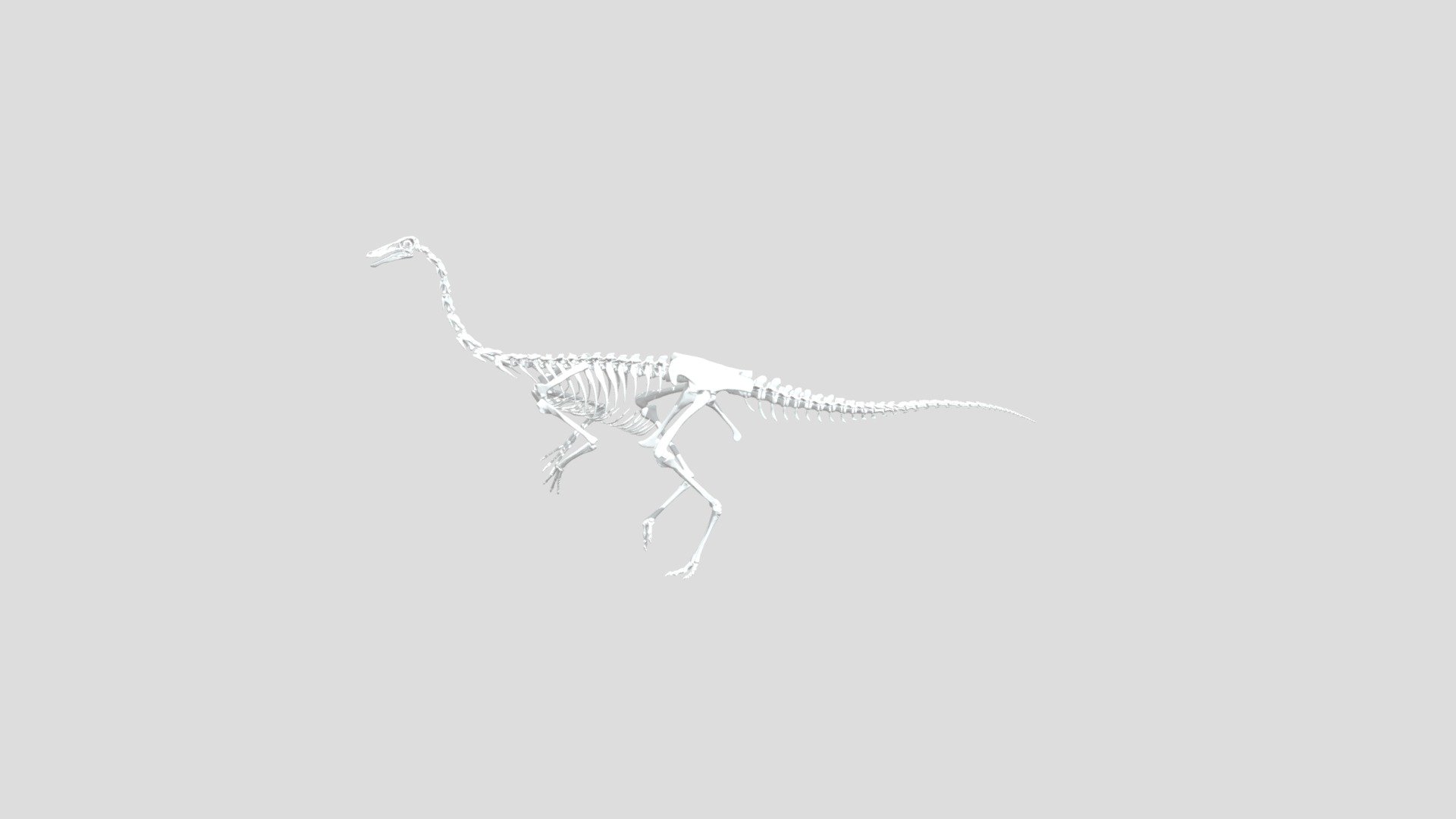Gallimimus bullatus skeleton - Gallimimus bullatus - 3D model by kistrike 3d model
