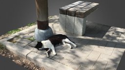 Cat(Nana) cat, metashape, photoscan, photogrammetry