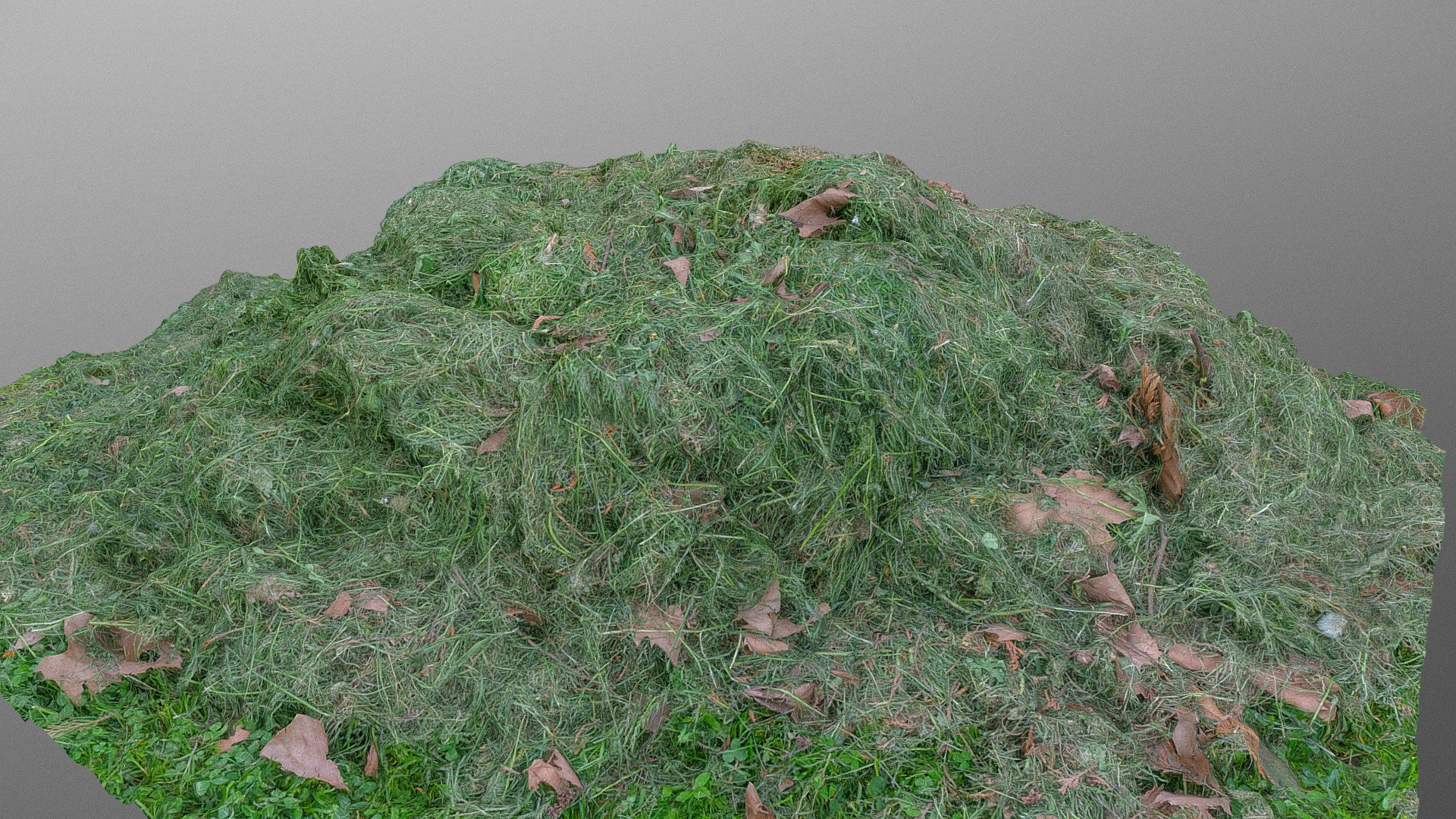 Heap pile of green Freshly Mown lawn cut grass with lawn mower

Photogrammetry scan 160x24MP, 3x16K textures + HD Normals, isolated from ground - Mown lawn cut grass heap - Buy Royalty Free 3D model by matousekfoto 3d model