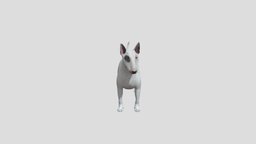 Dog Bull Terrier dog, bull, american, realistic, terrier, animal, animated