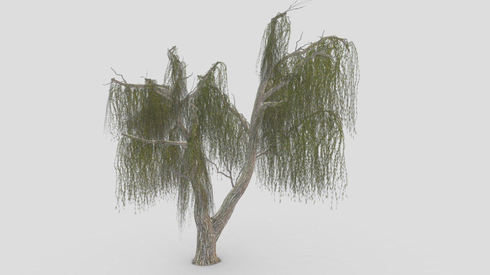 I try to provide low poly model of the Weeping Willow tree to use for your game project. I hope this model will be useful for you 3d model