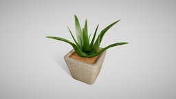 Aloe Vera plant, pot, potted, aloe, pbr, lowpolyplantchallenge, sabila