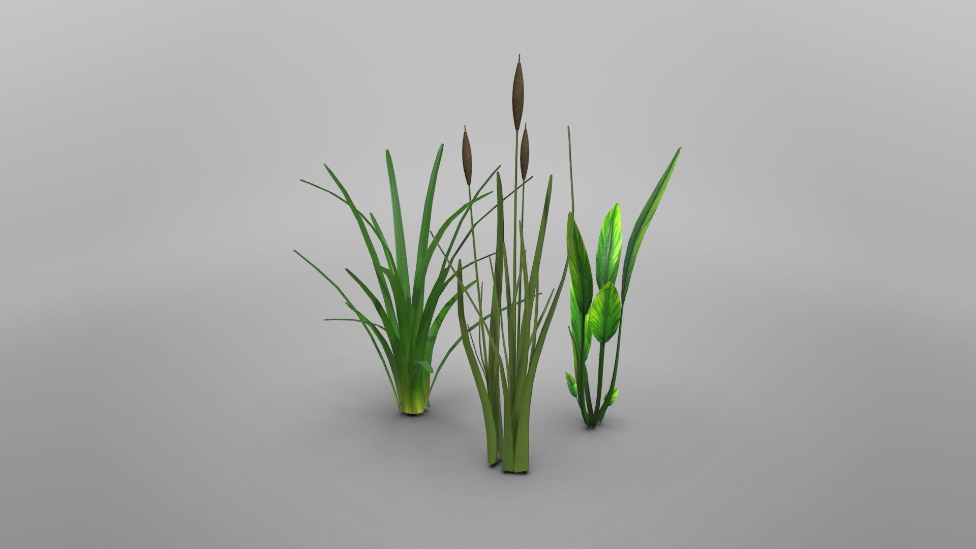 3D model pack of 3 different types of underwater plants. 

Individual models available:
* Plant 1
* Plant 2
* Plant 3 - Underwater plant pack - Download Free 3D model by assetfactory 3d model