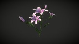 Purple lilies plant, grass, plants, flower, flowers, nature, lily, lilies, lily-flower, nature-plants, highpoly, plants-nature, 3dflower