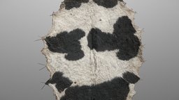 Cowhide cow, raw, leather, white, 3d-scan, medieval, natural, western, patch, farm, 3d-scanning, farming, rug, hide, witcher, cattle, cowhide, medievalfantasyassets, tanner, moulting, photoscan, photogrammetry, asset, black, furer
