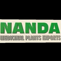 Nanda Logo D