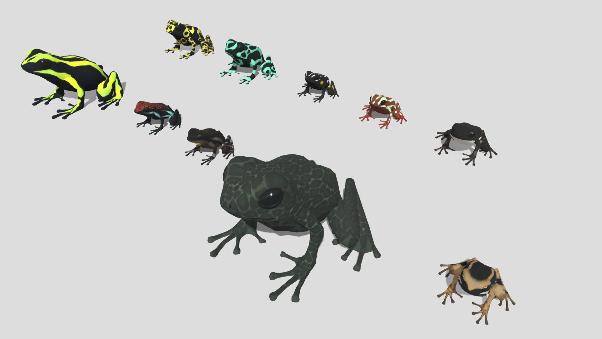 10 kinds of Poison dart frog [1]




和 タラマンカヤドクガエル / 英 Talamanca Rocket Frog / 学 Allobates talamancae

和 ニオイヤドクガエル / 英 Venezuelan Skunk Frog / 学 Aromobates nocturnus

和 トリニダードヤドクガエル / 英 Yellow-throated Frog  / 学 Mannophryne trinitatis

和 ルビーヤドクガエル / 英 Ruby Poison Frog / 学 Ameerega parvula

和 ミスジヤドクガエル / 英 Three Striped Poison Frog / 学 Ameerega trivittata

和 パナマコオイガエル / 英 Panama Rocket Frog / 学 Colostethus panamansis

和 ミイロヤドクガエル / 英 Phantasmal poison-arrow frog / 学 Epipedobates tricolor

和 ブラジルナッツヤドクガエル / 英 Brazil-nut Poizon Frog / 学 Adelphobates castaneoticus

和 ミドリヤドクガエル, マダラヤドクガエル / 英 Green Poison Frog / 学 Dendrobates auratus

和 キオビヤドクガエル / 英 Yellow-headed Poison Frog / 学 Dendrobates leucomelas
 - 10 kinds of Poison dart frog [1] - 3D model by Mozukui (@redfrogman) 3d model