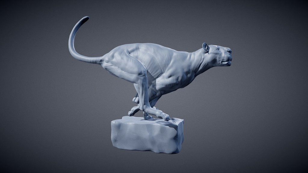 Promo: if you want to learn more about how to sculpt Animals and their Anatomy to create something like that head over to: https://www.patreon.com/tonyeight

and here is another quick 2h speedsculpt I did last Sunday just as a practice. Love doing these kind of studies.

by the way you can also find some of my work here too:
Instagram: https://www.instagram.com/tony_eight/
Facebook: https://www.facebook.com/tony.camehl - Big Cat POSE 04 - 3D model by tony-eight 3d model