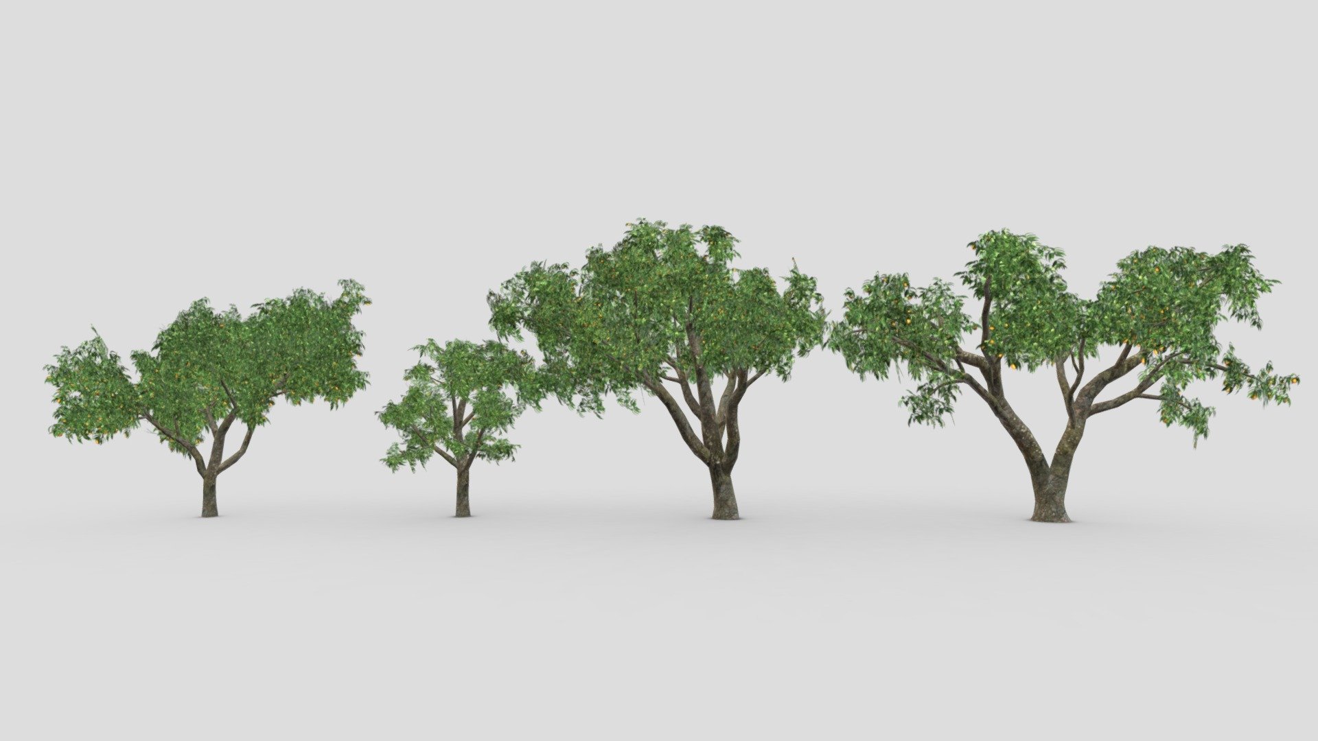 This collection contains 4 3D low-poly poly models of Orange Tree. You can use these models in your projects 3d model