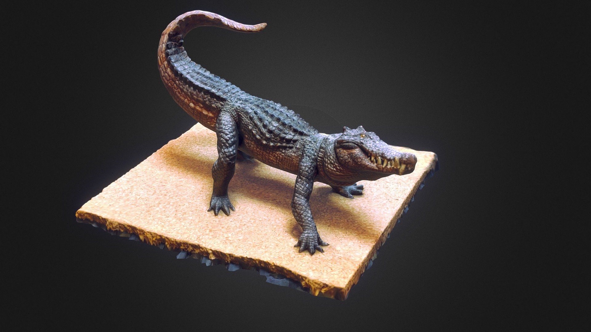 Crocodile photoscan - 3D model by 3D Chop Art (@3dchop) 3d model