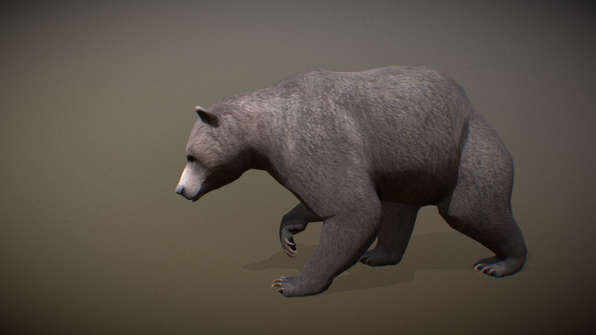 Animated realistic male Brown Bear with bone mesh, 129 animations authored at 60fps and 4k textures.

Note: Preview uses lower-res mesh (LOD1), 1K textures and only a few of the full set animations.

Get our animal in full detail, 4K textures and check the full list of animations.

Features:




male Brown Bear model

bone mesh

Animations authored at 60 fps

All animations available with and without the root motion

uncompressed 4K Textures

3ds Max and Maya animation rig

LODs
 - Animalia - Brown Bear (male) - 3D model by GiM (@GamesInMotion) 3d model