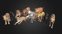 Pack Of Wild Cats cat, leather, bobcat, wild, cheetah, panel, puma, lion, jaguar, lioness, lynx