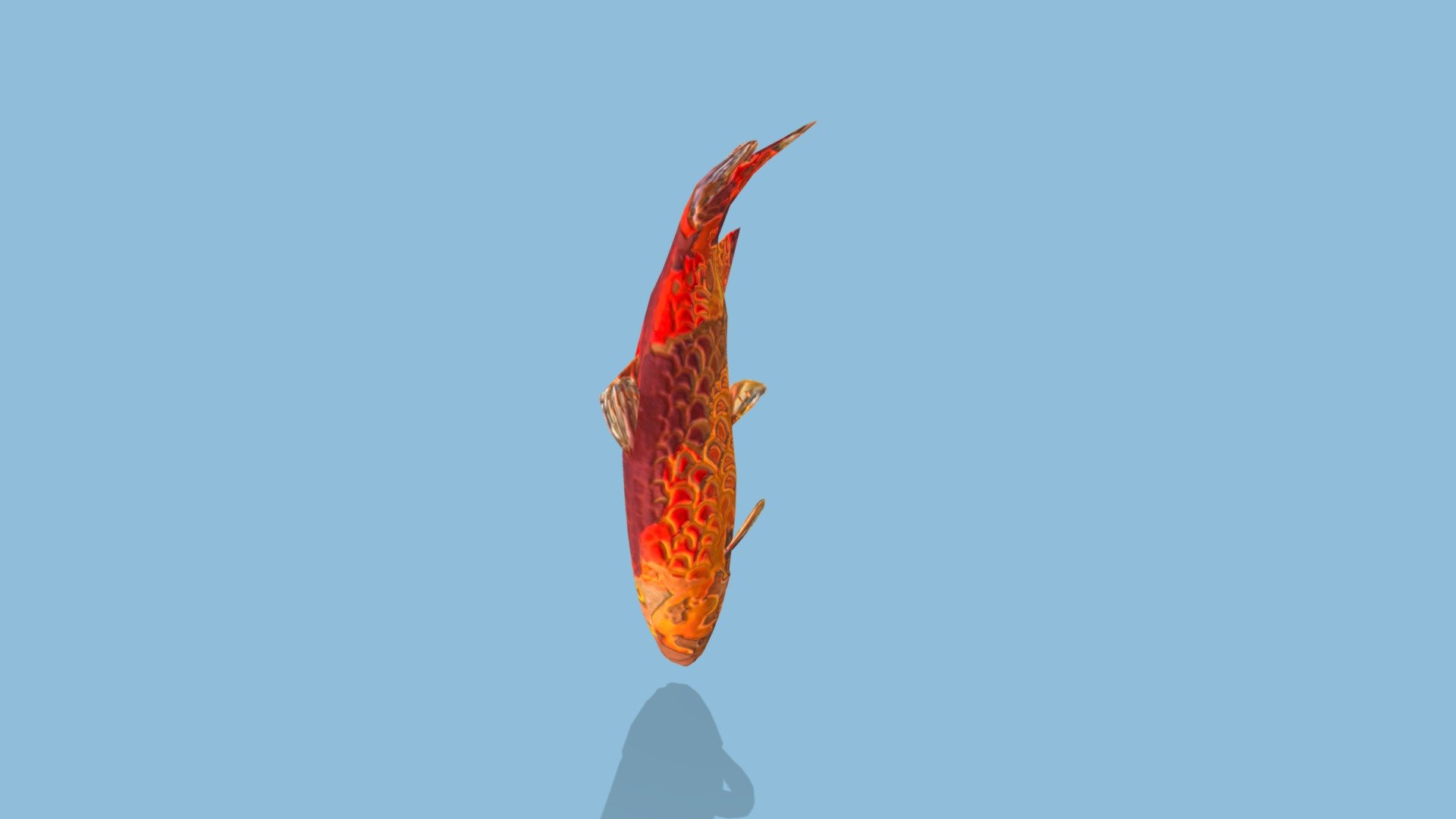 锦鲤，原始品种为红色鲤鱼(Cyprinus carpio),红鲤作为观赏鱼类 - 锦鲤(Cyprinus carpio) - 3D model by xbdqpc719 3d model