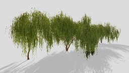 Willow Trees trees, tree, plants, unreal, foliage, engine, nature, ue4, willow, ue5