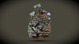 Pine Cone with Fungi 🌲🍄