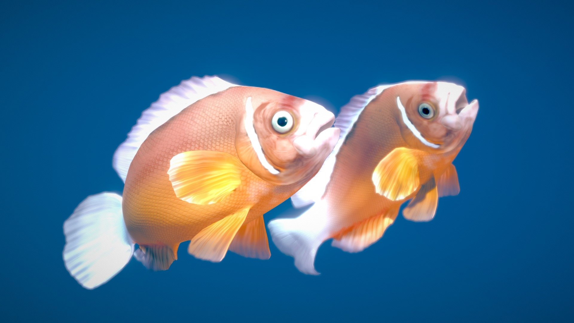 Click here to buy Orange Clownfish - Pink Skunk Clownfish - 3D model by NestaEric 3d model