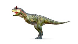 Dinosaur Carno Green Lowpoly Art Style Animal t-rex, beast, ancient, triangle, trex, raptor, polygonal, teeth, mammal, predator, diplodocus, claws, rex, scary, spinosaurus, triceratops, lowpolygon, reptile, pterosaur, tyrannosaurus, stegosaurus, dinosaurus, trexdinosaur, allosaurus, iguanodon, lowpolyart, ankylosaurus, carnotaurus, jurassicpark, apatosaurus, parasaurolophus, chopped, lowpolygonart, jurassic-world, polygonal-art, lowpoly, animal, monster, dinosaur, "t-rex-dinosaur", "einonychus"