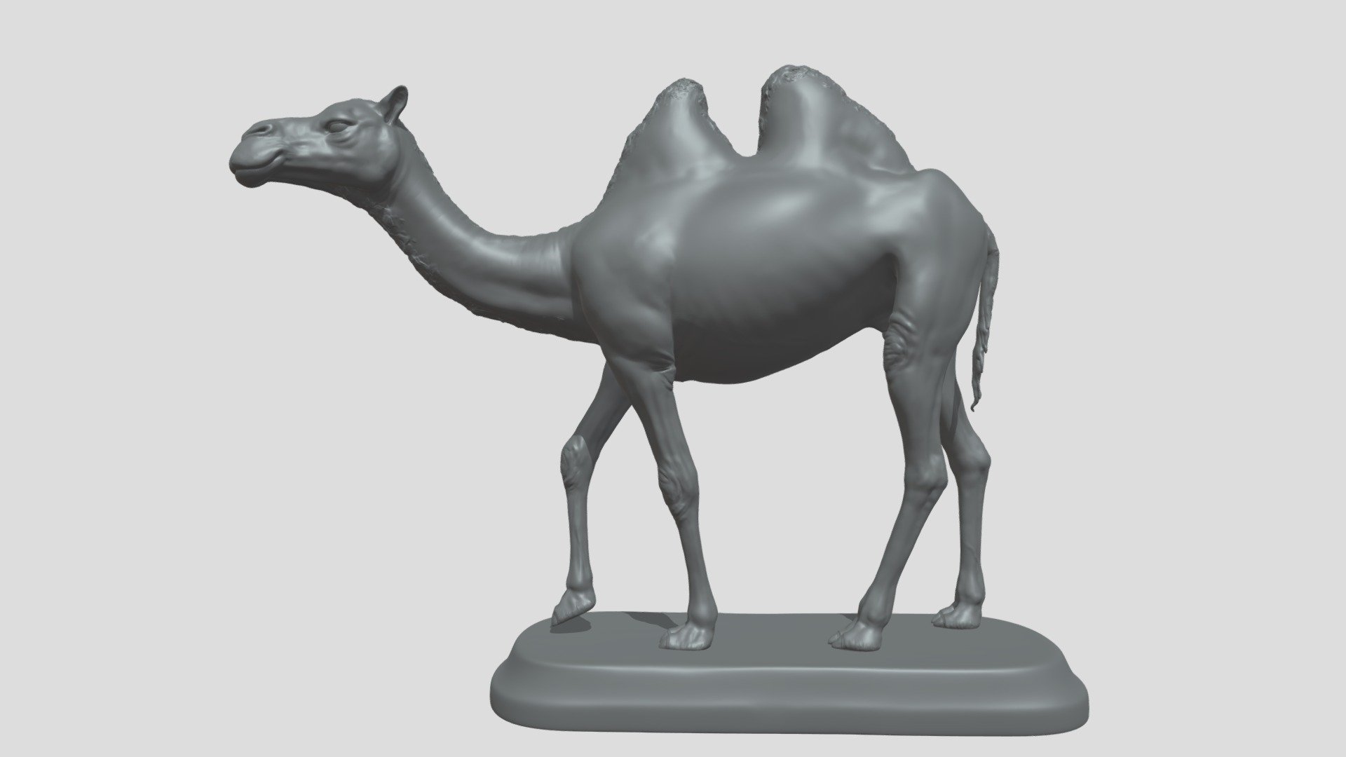 Camel High Poly, sculpted in ZBrush 2020.

Ideal for printing 3D

Compositions

Decoration

Motion graphics - Destruction of solids

Etc....

Does not contain UVs Maps

Piece with 20 cm

Files :

FBX

Does not contain lighting

I hope it will be useful in your project !

Thank you for visiting my models !! - Camel - Buy Royalty Free 3D model by aleexstudios 3d model