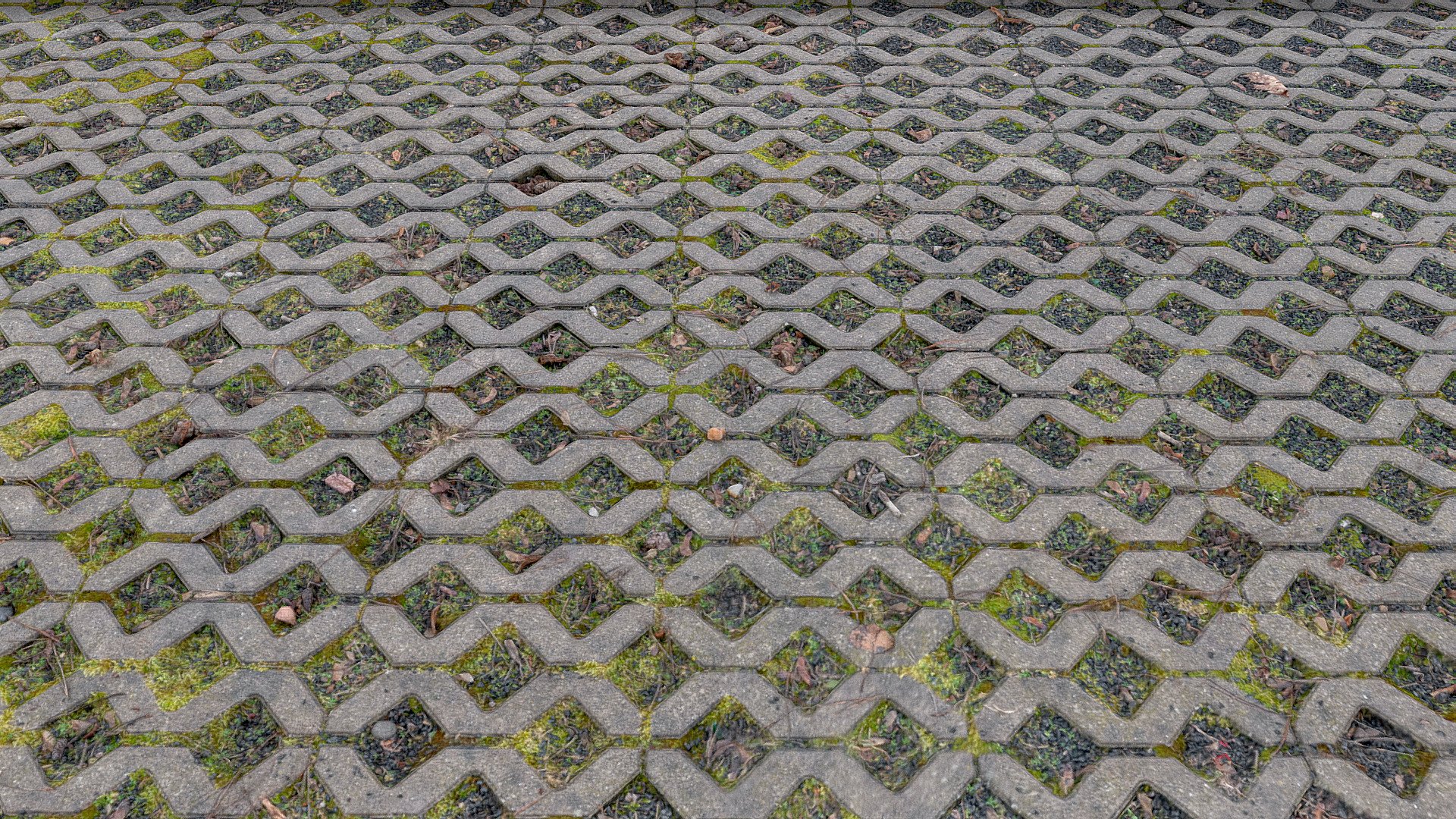 Concrete grass grid interlocking tile paver paving parking lot place with some grunge moss, permeable grass pavement

photogrammetry scan (350 x 24MP), 16K tiff texture - Concrete grass grid pavers - Buy Royalty Free 3D model by matousekfoto 3d model