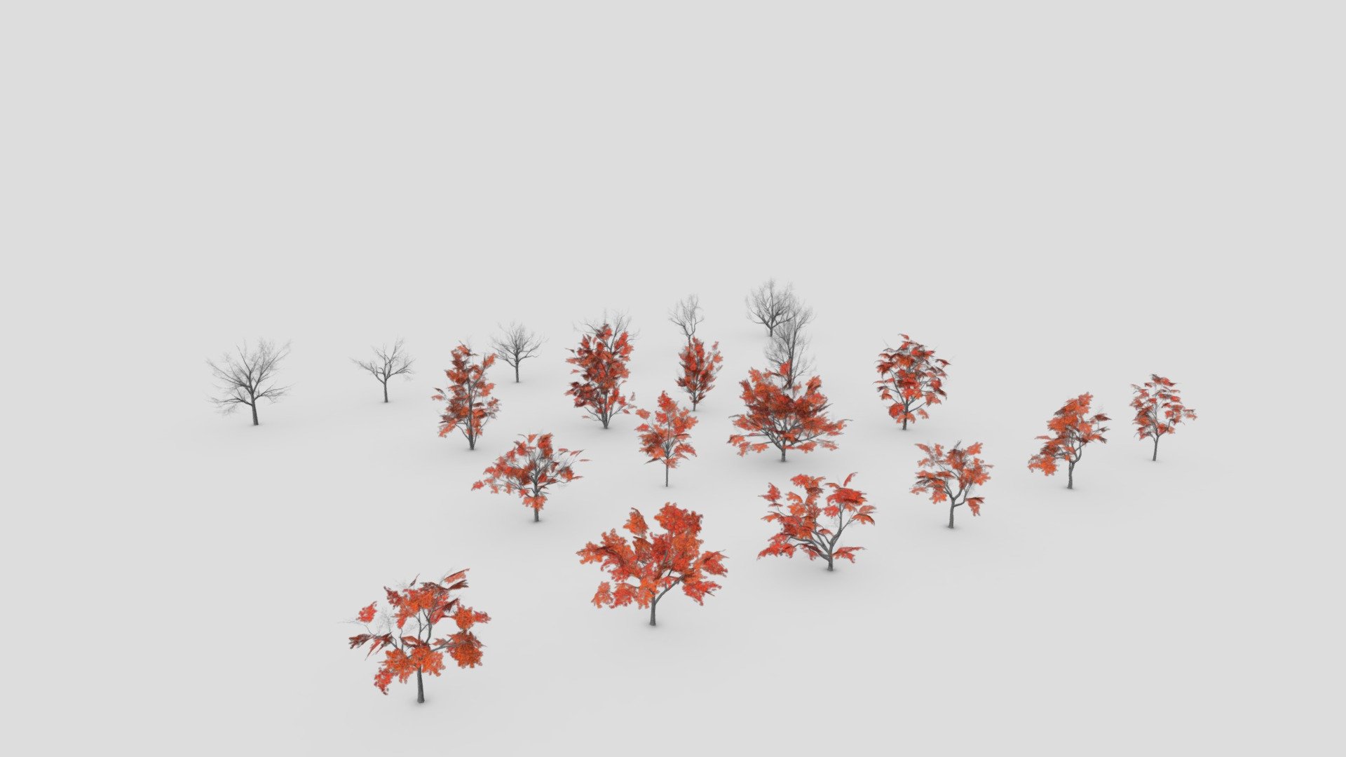 Here we provide about 20 styles of Red maple tree in fall season. there are low poly.
 Youtube: https://youtu.be/hc54kB4zicw                                  

Follow US: https://www.instagram.com/asma3d.official

Acer rubrum, the red maple, also known as swamp, water or soft maple, is one of the most common and widespread deciduous trees of eastern and central North America. The U.S. Forest service recognizes it as the most abundant native tree in eastern North America 3d model