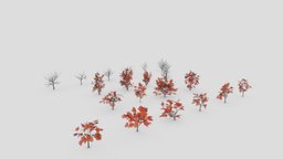 20 styles of Red maple- Fall-Low poly-Game-17