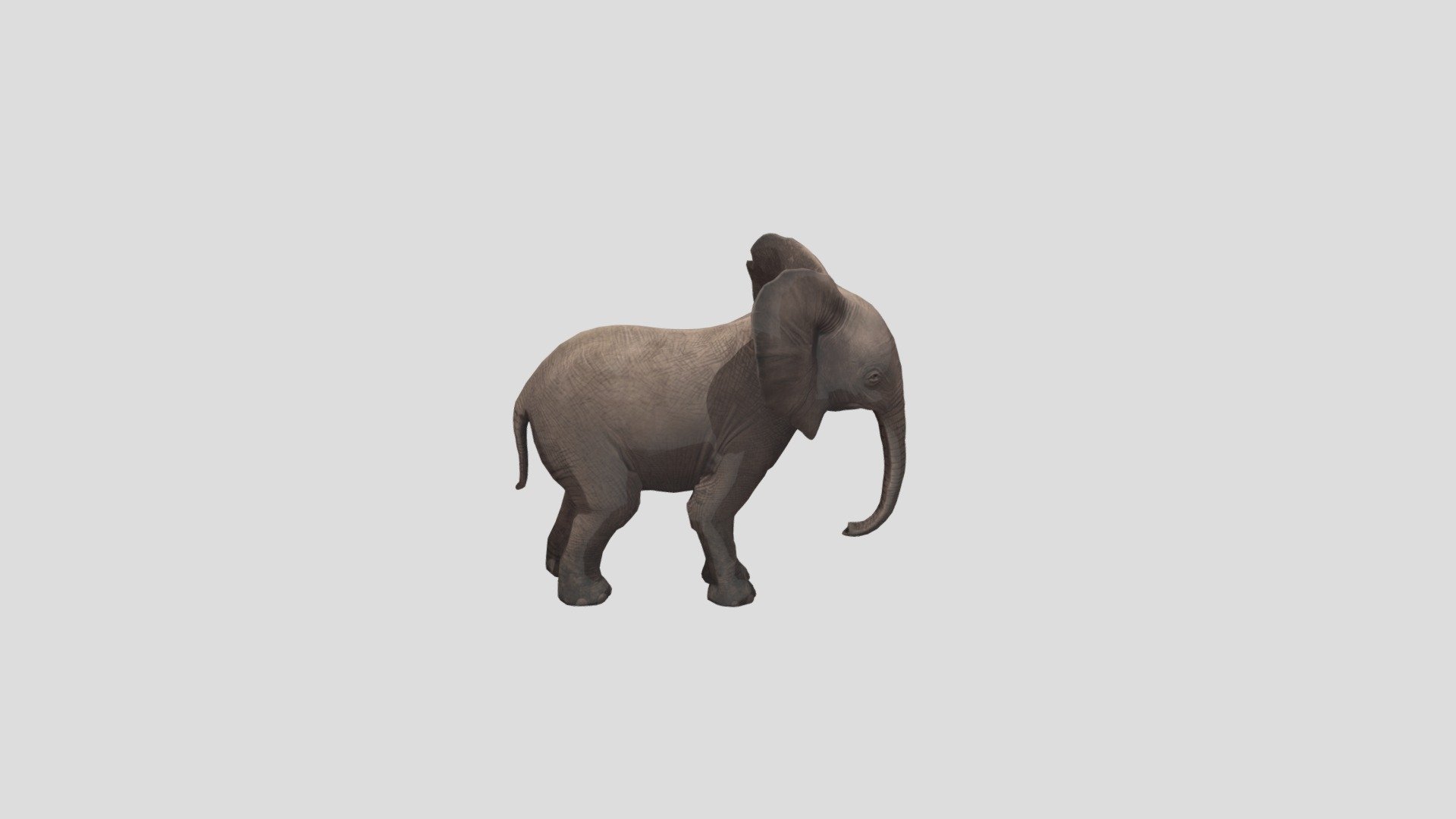 Baby Elephant GLB - Download Free 3D model by ahitch3 3d model