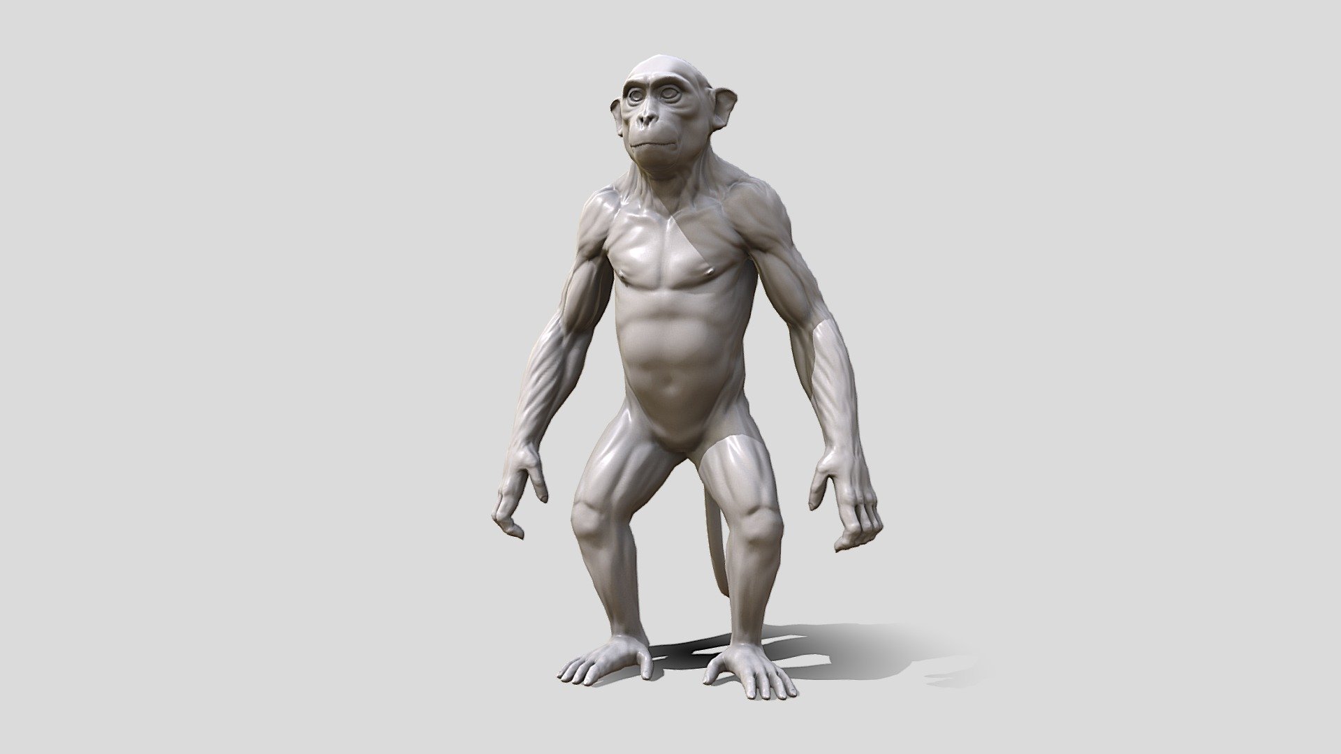 Monkey model was made in Zbrush and retopo and UV Unwrap in  Maya with proper topology and looping with Unwraped UV and no over lapping.

Ready for sculpting and texturing&hellip;

File format:





Obj




Fbx




Maya file




Blender file




Zbrush file



Inside the product:





clean topology




Single Udim 




unwrapped Uvs for texturing




no overlapping UVs




proper naming and grouping




no unwanted shaders and history.


 - Monkey Sculpt - Buy Royalty Free 3D model by Tashi59 (@tsering) 3d model