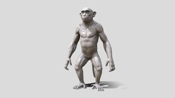 Monkey Sculpt monkey, chimpanzee, ape, gorilla, primate, game, model, animal