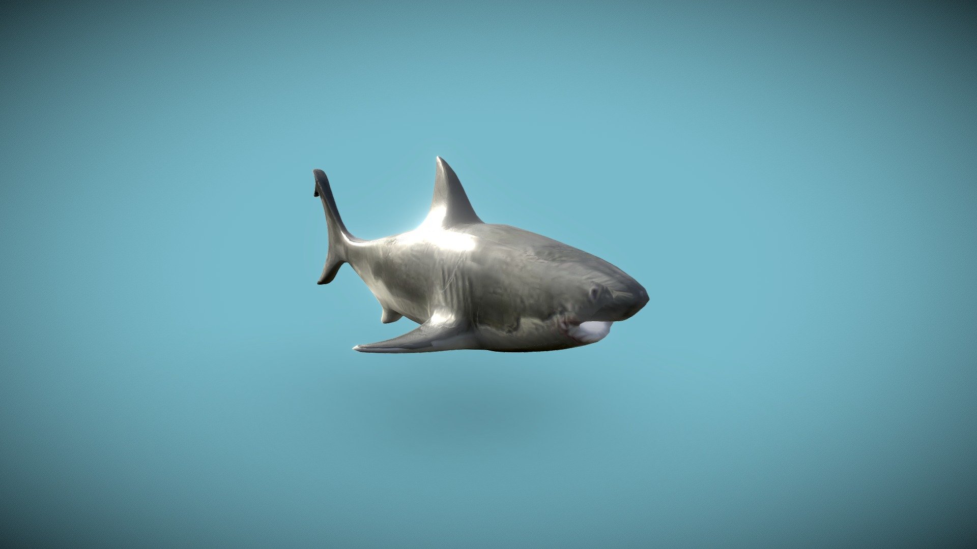 Shark Model :
This model was made in 1h inside of Blender. All the texture where made from the main referece. Everything was done in blender !
the texture resolution is 1k. Every PBR map where generated using blender shader editor 3d model