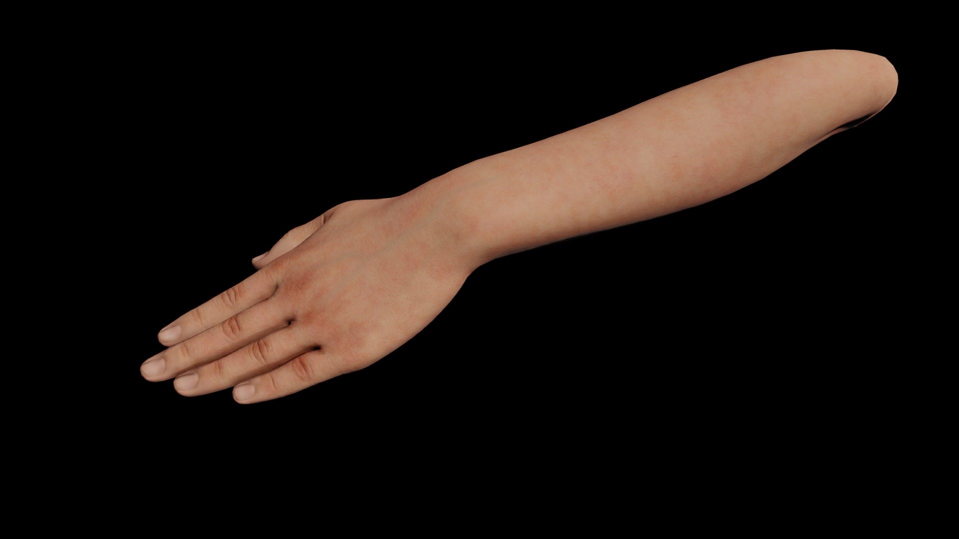 Rigged and animated left hand model, made in Blender 3.2 3d model