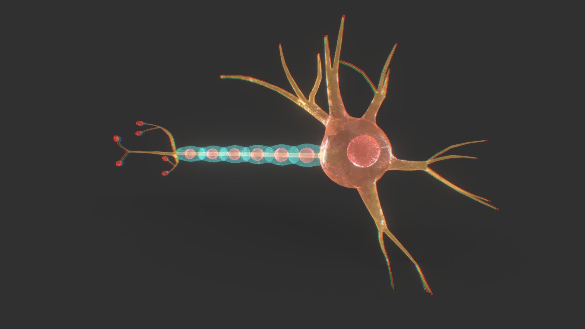 Neuron - 3D model by 3D4SCI 3d model