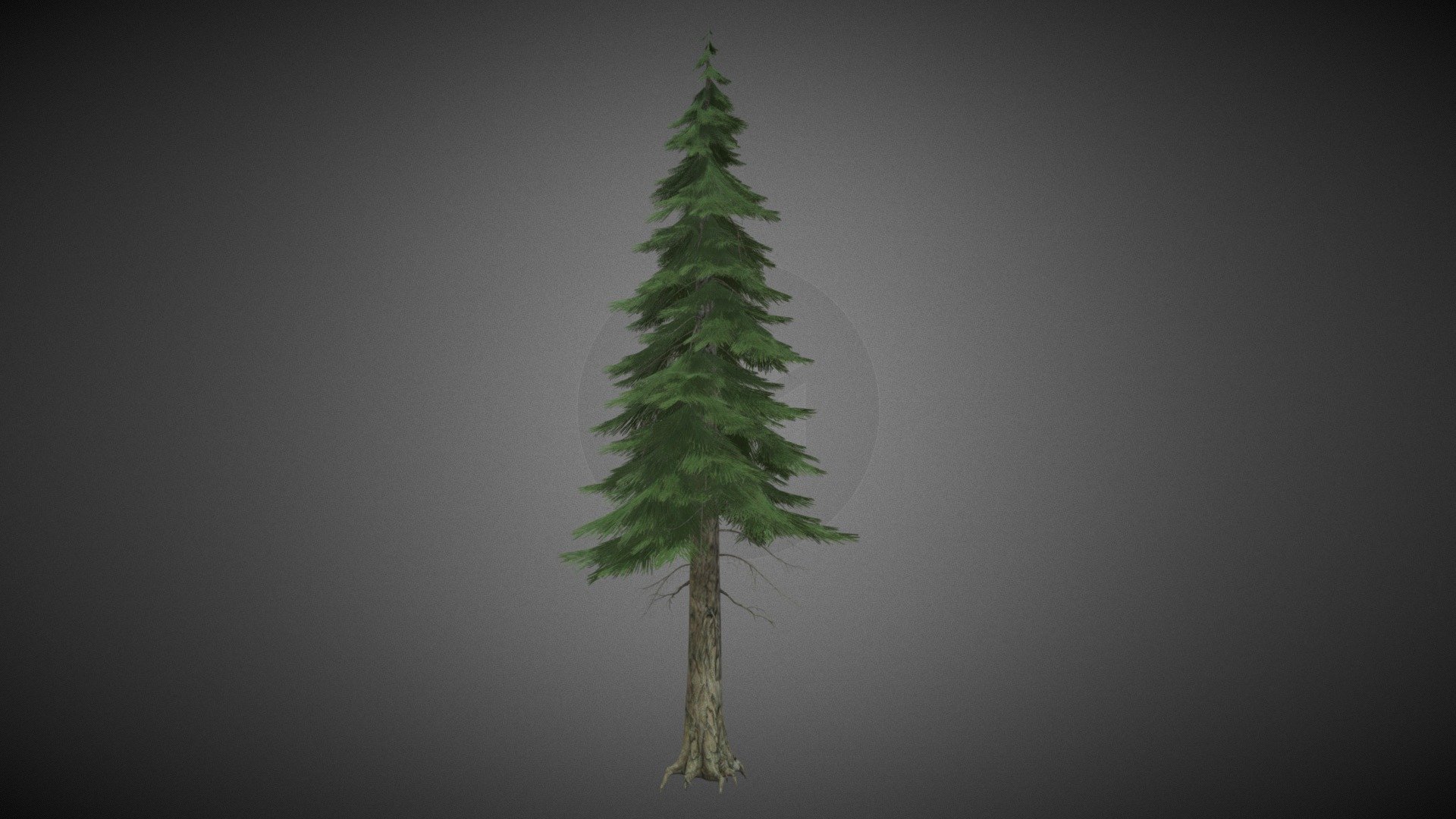 pine tree - Buy Royalty Free 3D model by misitewang 3d model