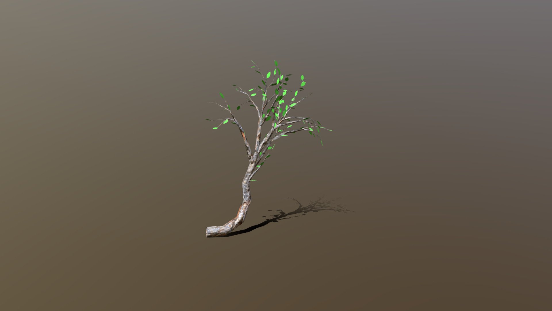 Hill/Cliff side tree. This is for LOD purposes or no/less details

Instruction for game engines: - Double sided material, with alpha-clipping on - Cliff Side Small Tree (LOD) - Download Free 3D model by Natural_Disbuster (@lemedesign) 3d model