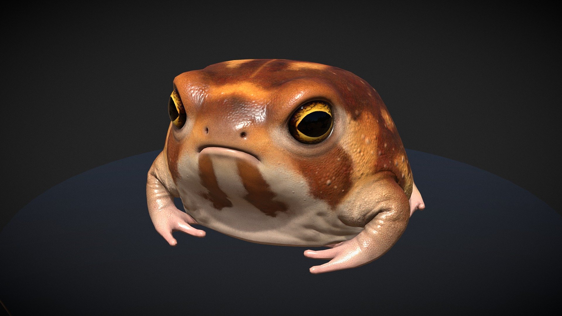 🐸 Desert Rain Frog 🐸

✧

Completed March 2023.

✧

Zbrush: High poly.

Maya: low poly, UVs.

Marmoset Toolbag: Bakes.

Sketchfab: Presentation.

✧

Additional renders and technical breakdown:

https://www.artstation.com/artwork/NGo5BP

✧

My social media: 

https://draconic-cowboy.carrd.co/

✧

This artwork is not for sale and is not available for download. Do not use my images for your own profit 3d model