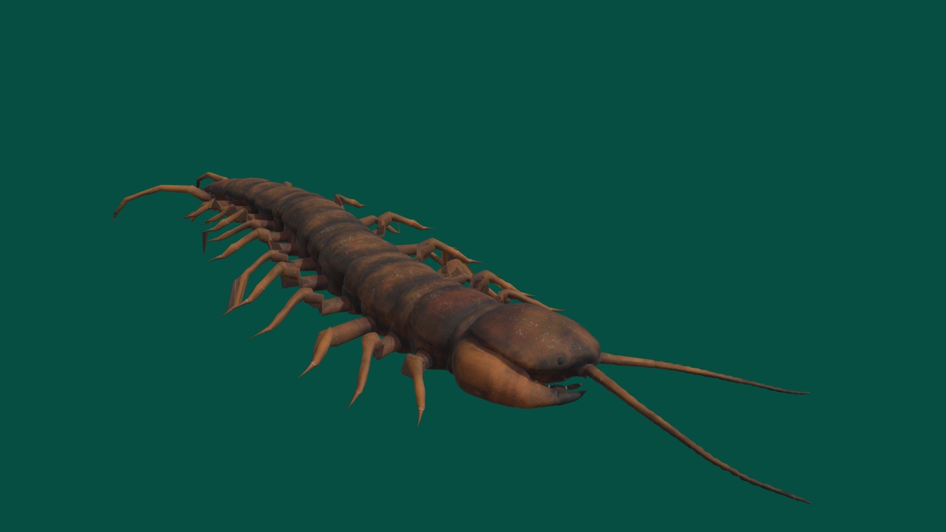 **Test -2 😂 **

Centipedes are predatory arthropods belonging to the class Chilopoda of the subphylum Myriapoda, an arthropod group which also includes millipedes and other multi-legged creatures. Centipedes are elongated metameric creatures with one pair of legs per body segment 3d model