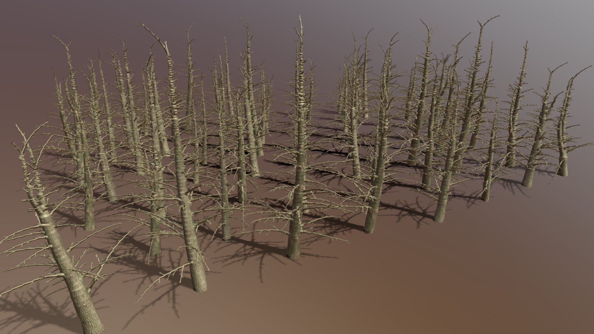 64 individual-randomly shaped dead fir trees with the attempt to attain a realistic appeareance with a moderate number of polygons (approx. 7.000 / tree). Each tree is a selectable group in the original obj file 3d model