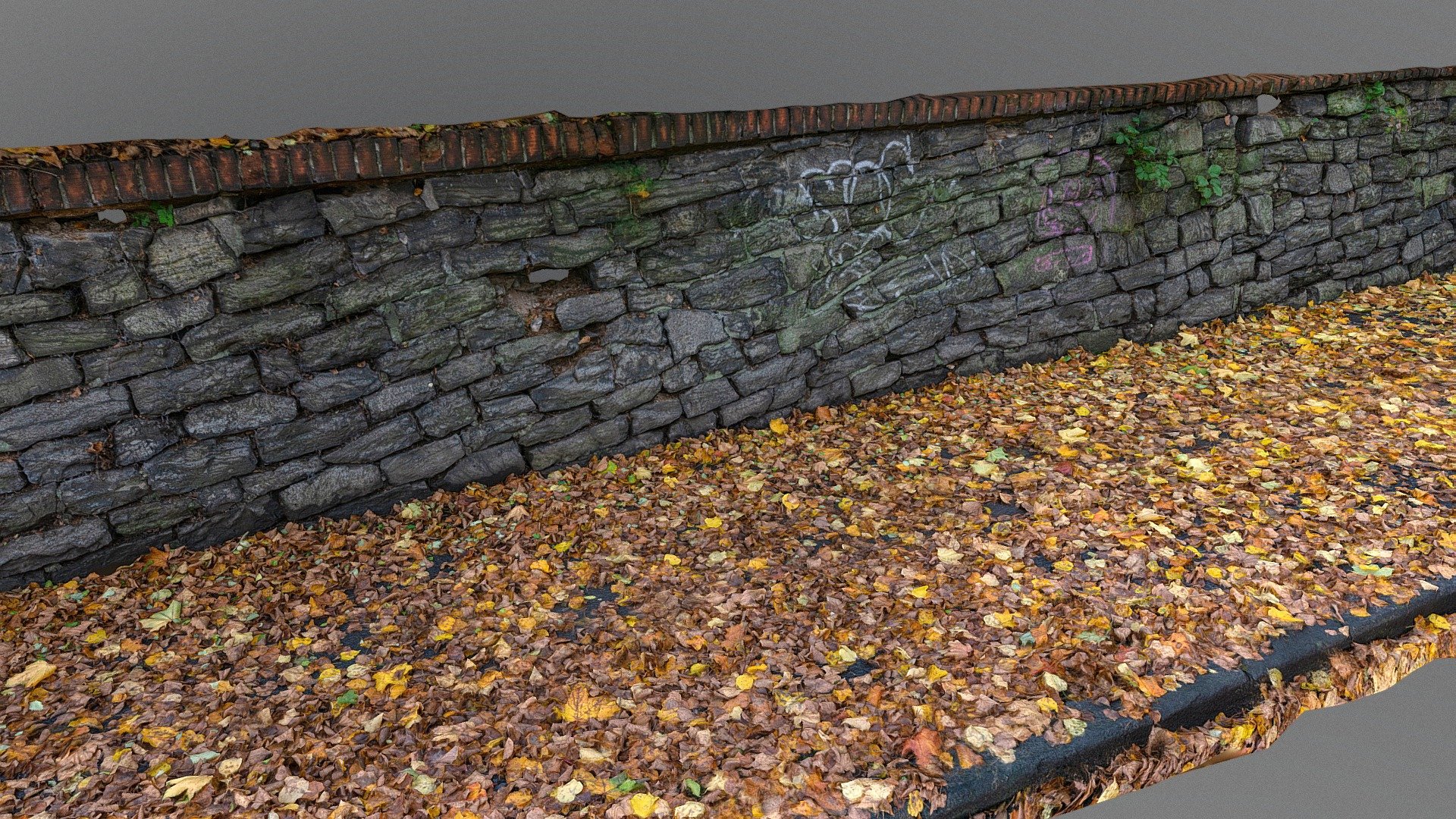 Old pavement way with stone wall covered with autumn fall cherry sakura tree leaves, on asphalt park sidewalk pavement curb

photogrammetry scan 250x24MP, 2x16K texture - Leaf covered sidewalk with stone wall - Buy Royalty Free 3D model by matousekfoto 3d model