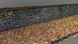 Leaf covered sidewalk with stone wall red, orange, cherry, maple, oak, 3d-scan, road, park, fallen, leaf, foliage, town, realistic, yellow, fall, autumn, sidewalk, authentic, october, lime, pavement, season, asphalt, curb, neigborhood, photoscan, photogrammetry, stone, gameasset, street, wall, autumn-leaves, autumn-colors