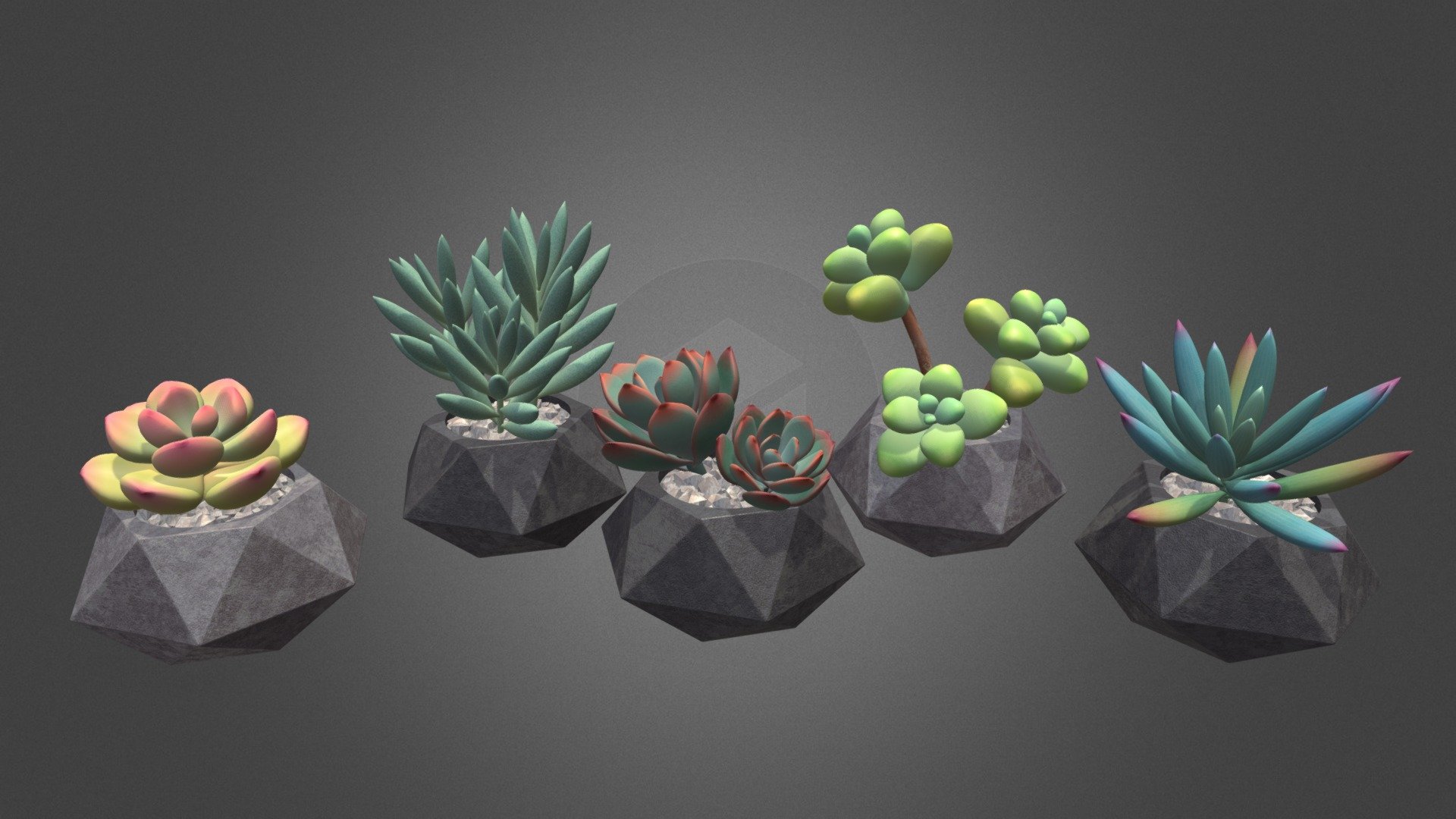 Detailed models of 5 house plants - succulents:
pink echeveria, silver senecio, blue echeveria, sedum and violet senecio.

Bright succulents in a trendy geometric pots will decorate any windowsill, desktop or shelf.
Recognizable plants will add realism to you game or 3D project)

Model consists of 114k triangles, uses detailed 1024*1024px textures and ready to use in formats blend and fbx.

If you want more succulents - look at my models https://sketchfab.com/tochechka/models 3d model