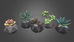 Succulents in pots (pack of 5 plants) plant, plants, pot, pack, detailed, realistic, sedum, plant-pot, echeveria, interior, senecio