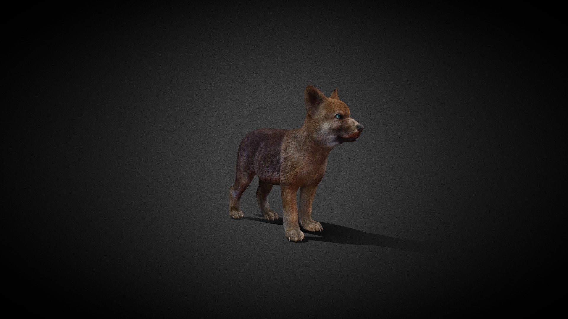 Baby Wolf CUTEST animated for games 3d model