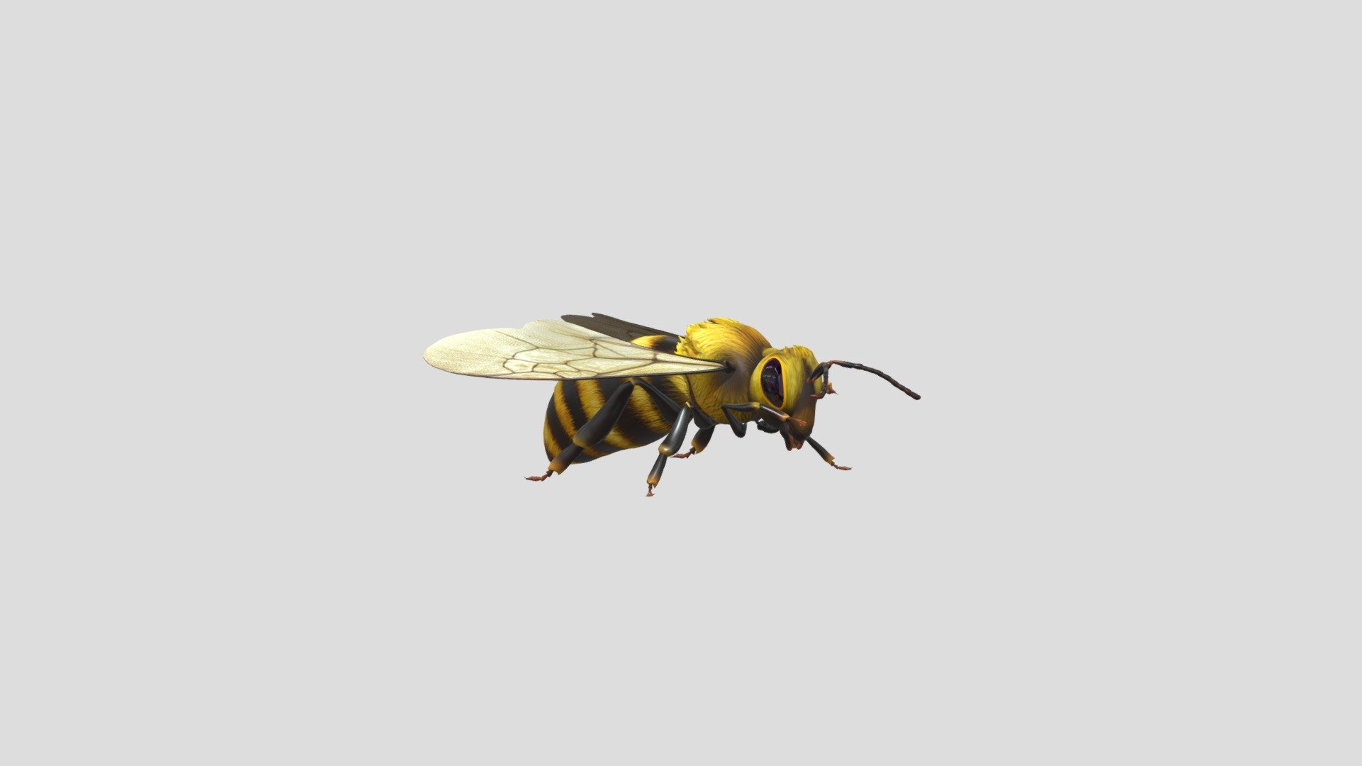 Bee - 3D model by AriaFoxMagic 3d model