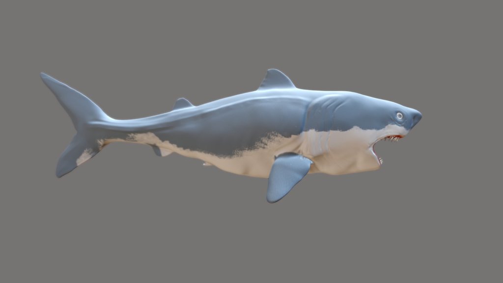 This is a Great white Shark Model Done by me (Skyler Lyons) for Photo compositing. The shark was Blocked out in Maya and than Sculpted in Zbrush, and Baked in Substance Painter 2.0 - Shark 3D - 3D model by skyzilla96 3d model
