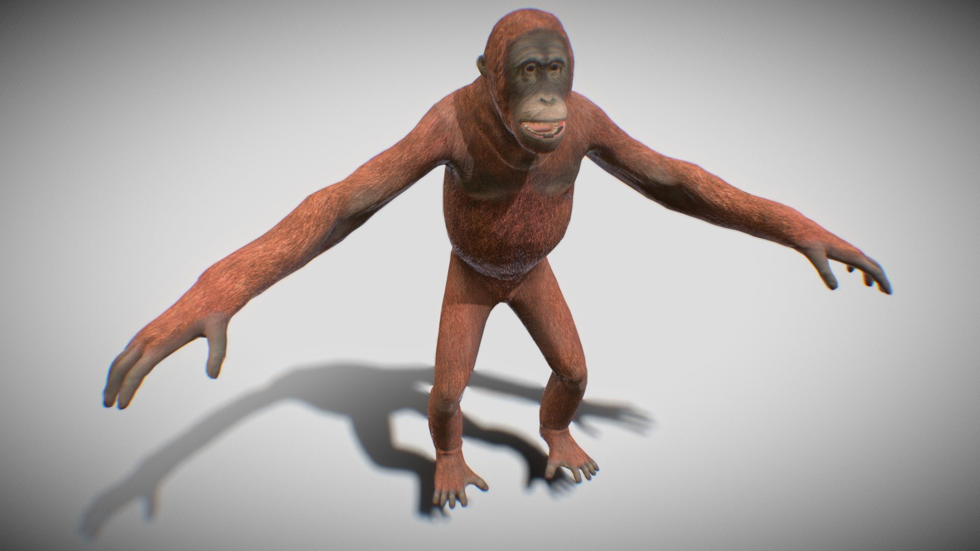 Orangutan
Character + rigged
Textures 4096x4096 - Orangutan - Buy Royalty Free 3D model by Mixall (@Mixaills) 3d model